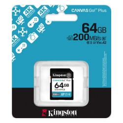 Kingston SDG4 64GB SD Card 64GB, Canvas Go! Plus memorijska kartica